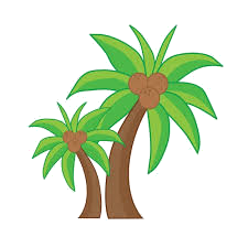 Sholayur anaikatti clubhouse in Kotagiri