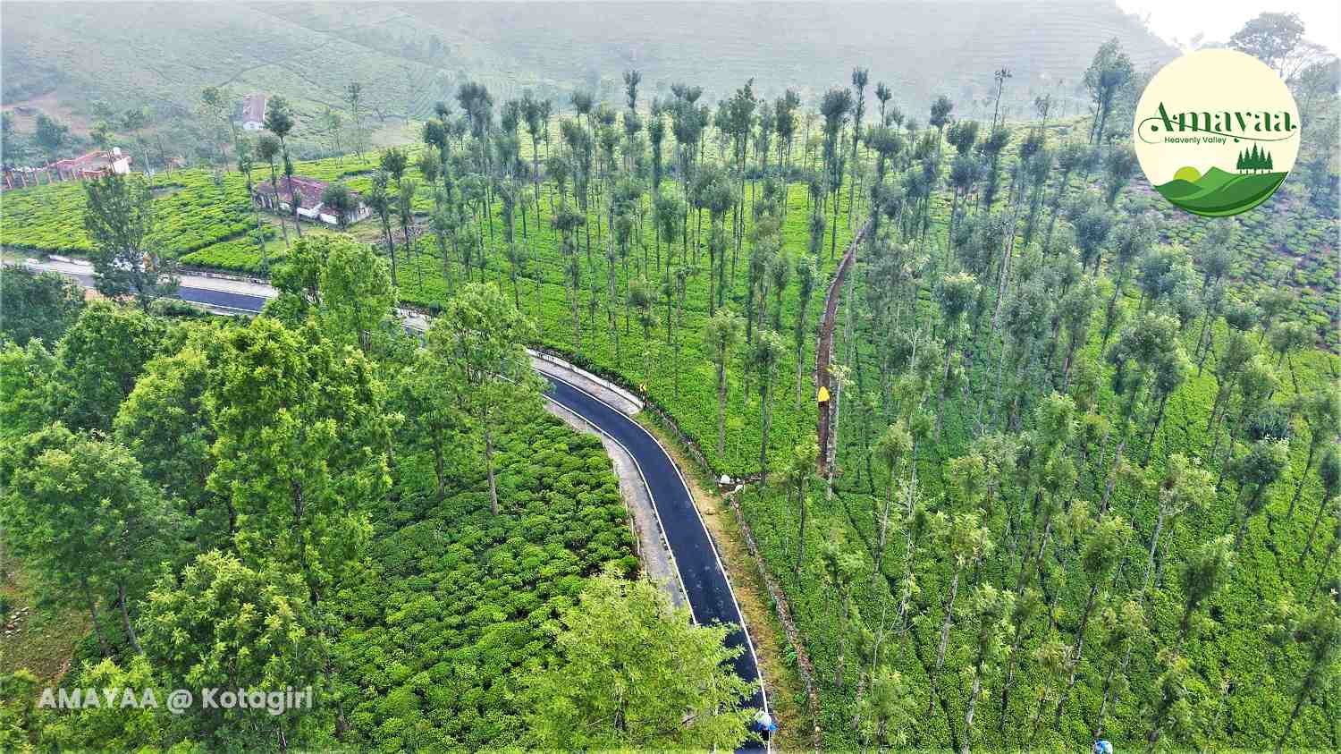 kotagiri villas