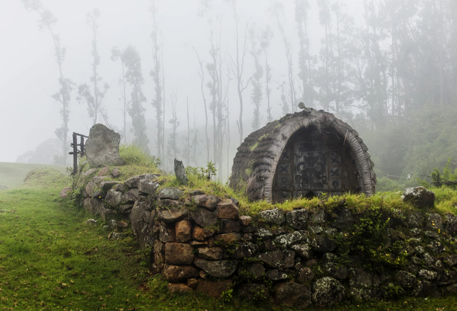 nilgiri
