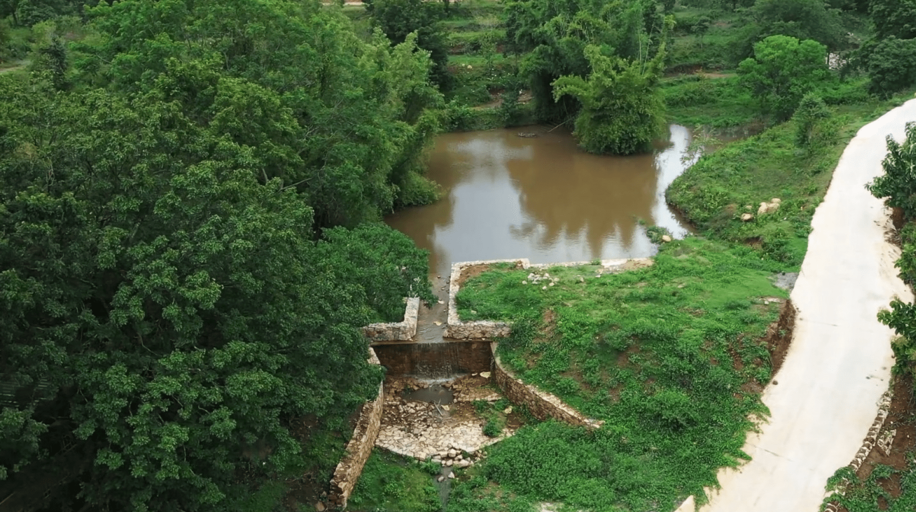 kotagiri farmlands