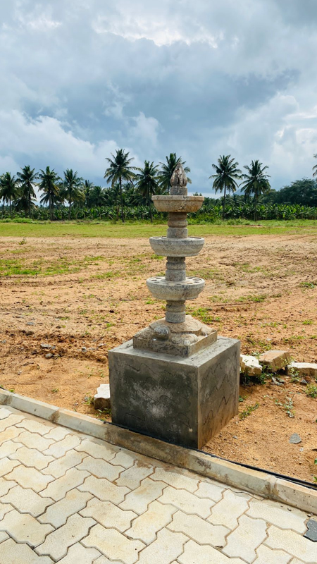 Scenic mountain views from Krishi farmland plots